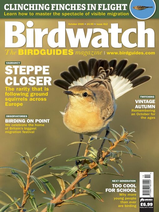 Cover image for Birdwatch